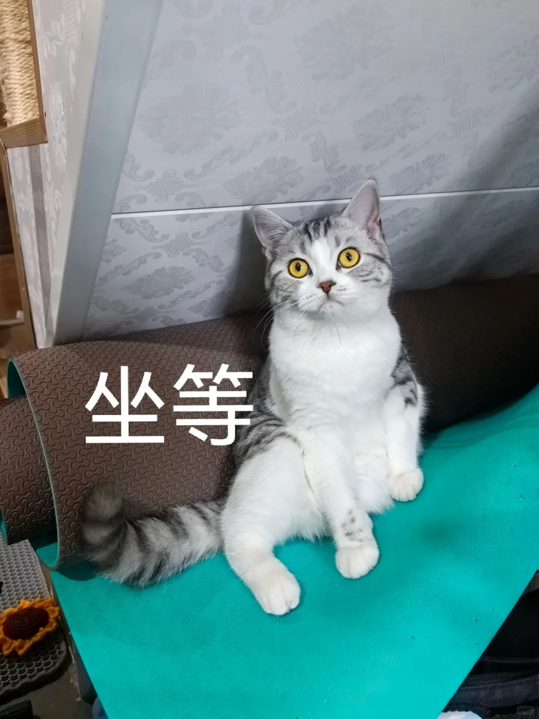 有没有人做个观察自己电量的app