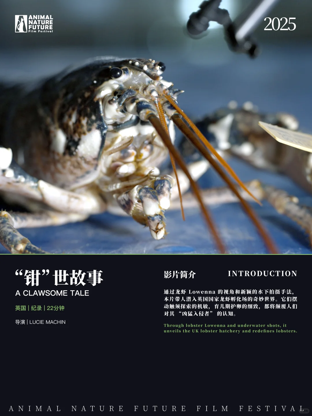 🇬🇧利兹影迷集合！免费电影节展别错过