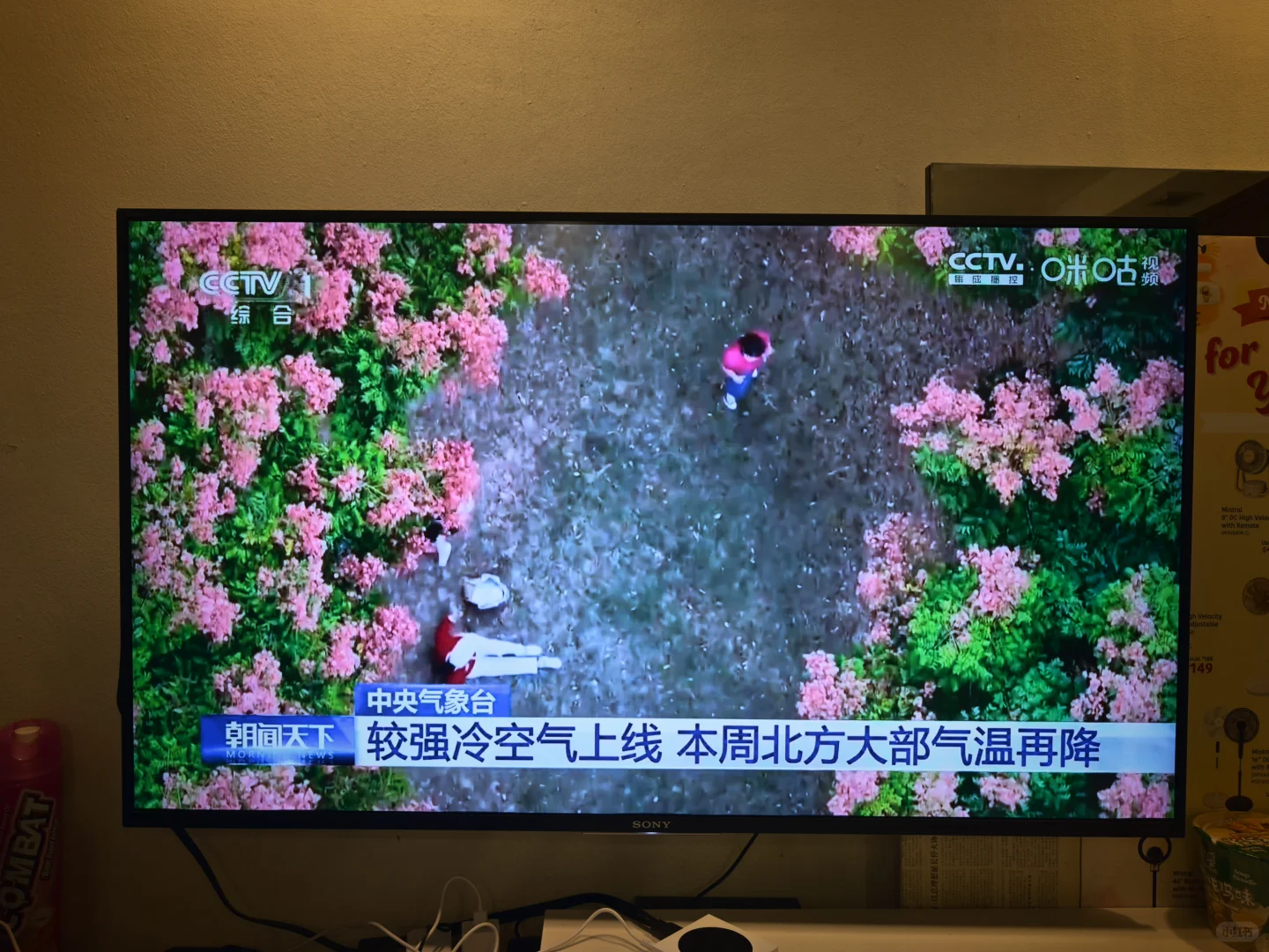 新加坡🇸🇬出电视盒子