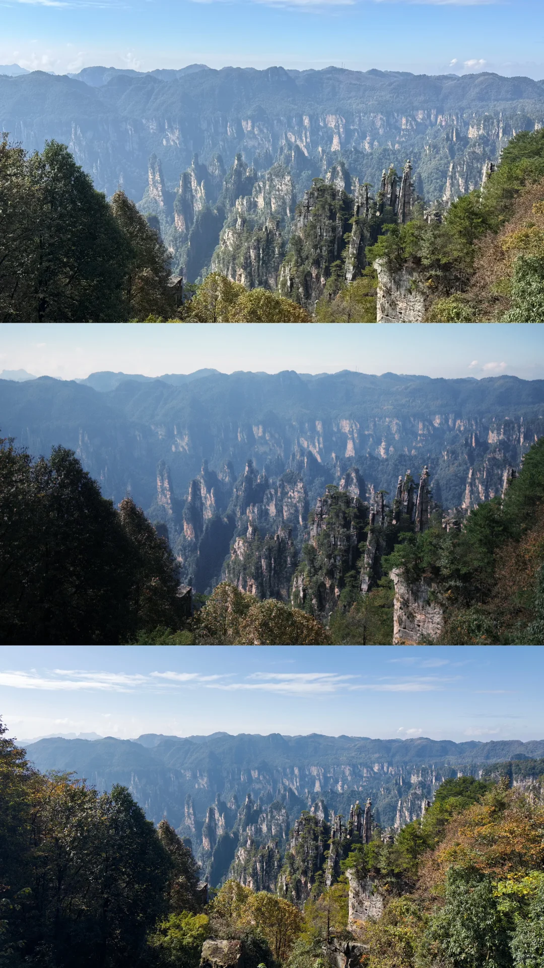 原相机对比DAZZ、Indigo直出效果