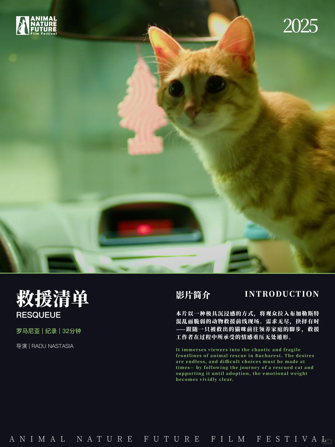 🇬🇧利兹影迷集合！免费电影节展别错过