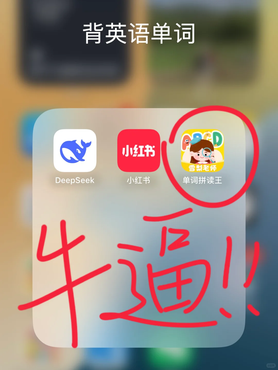 背单词届封神的APP，小学生一定别错过‼️