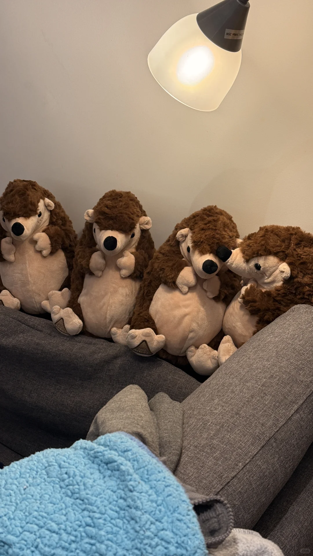 🇬🇧利兹影迷集合！免费电影节展别错过