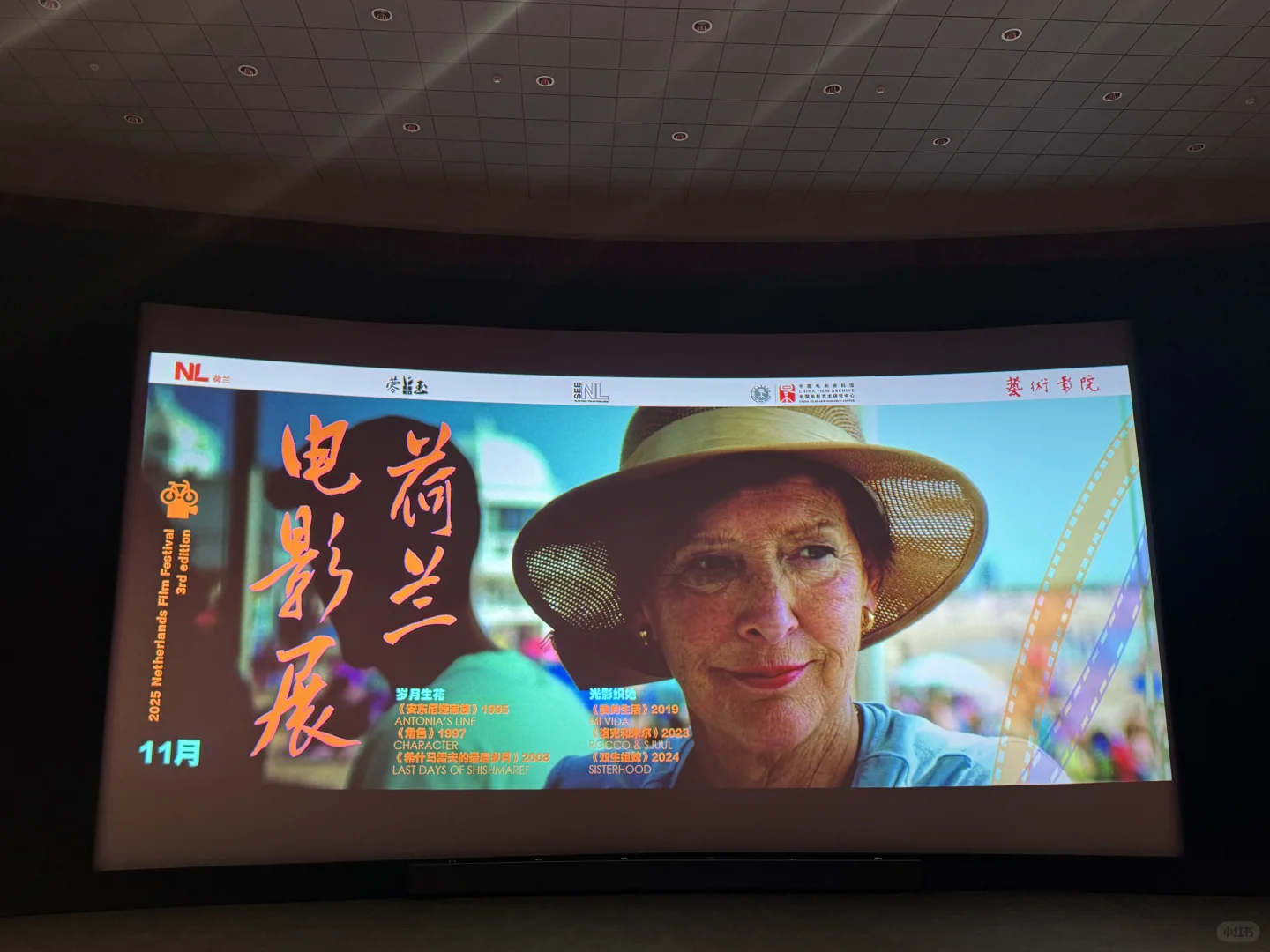 2025.11看什么电影？