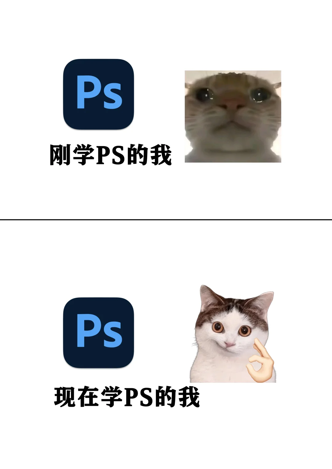 会这些PS就会一大半了！