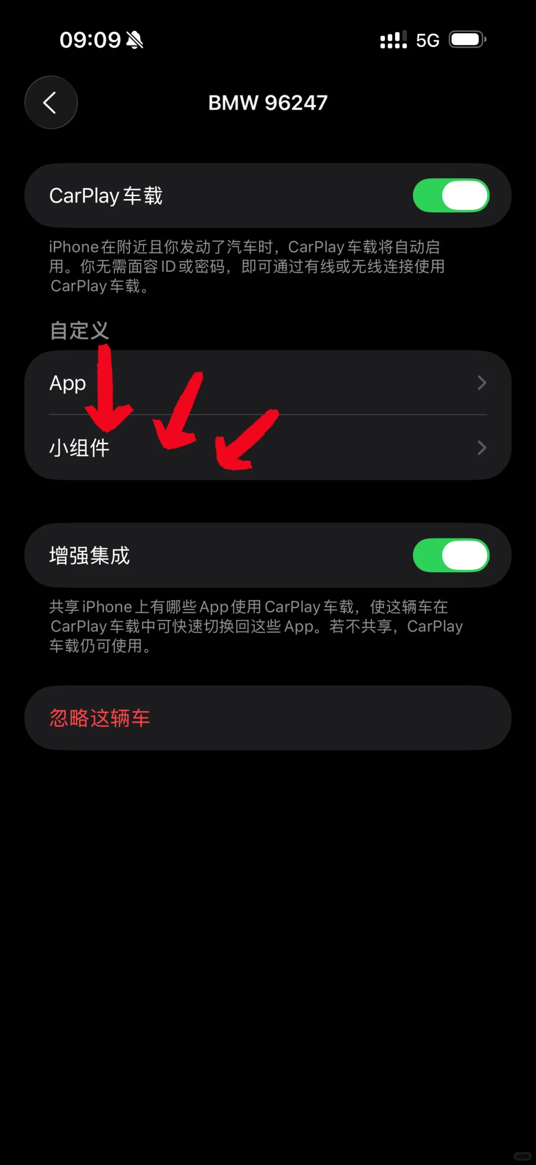 🚗plog｜我的CarPlay被星星人承包了！