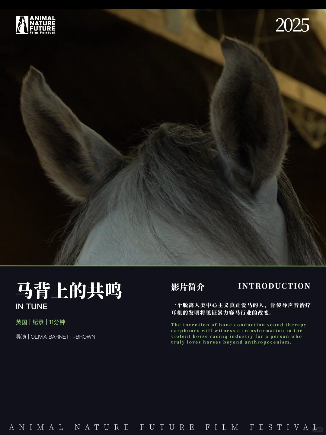 🇬🇧利兹影迷集合！免费电影节展别错过