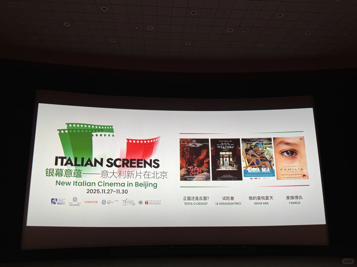 2025.11看什么电影？