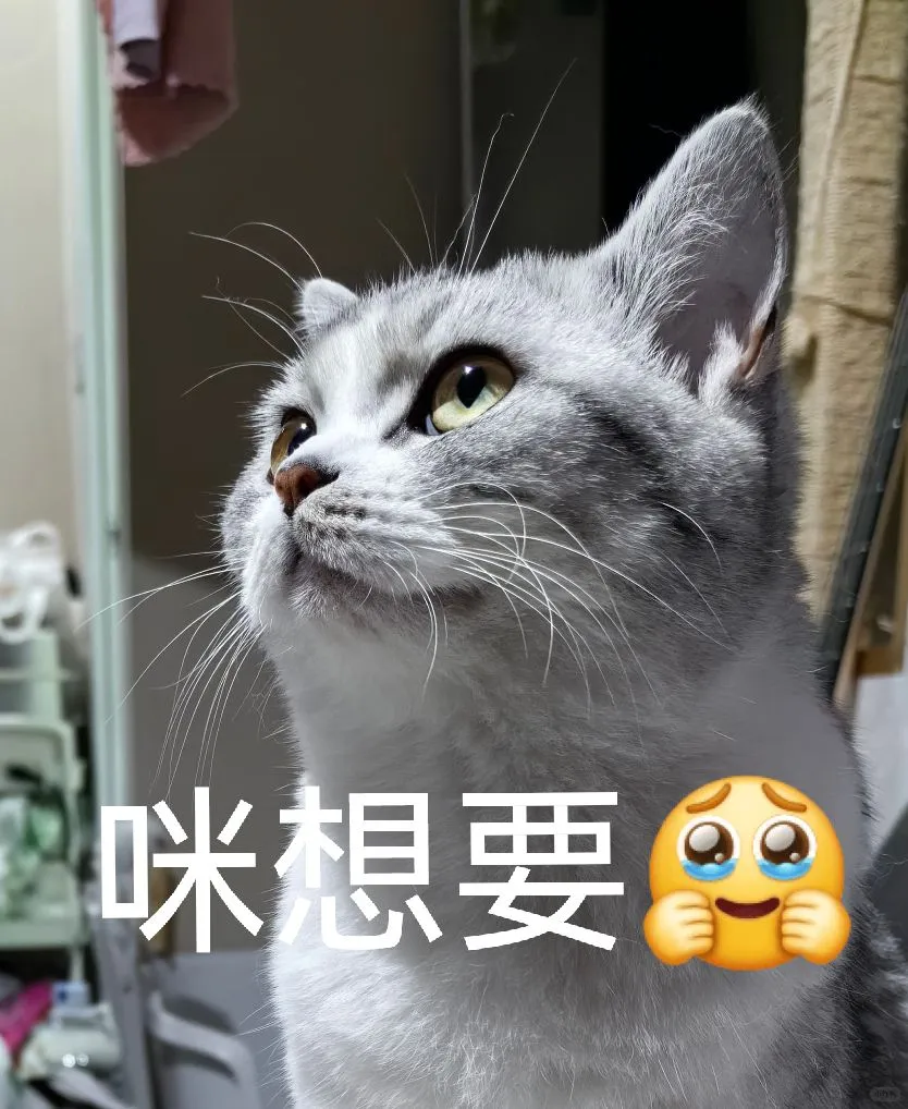 有没有人做个观察自己电量的app