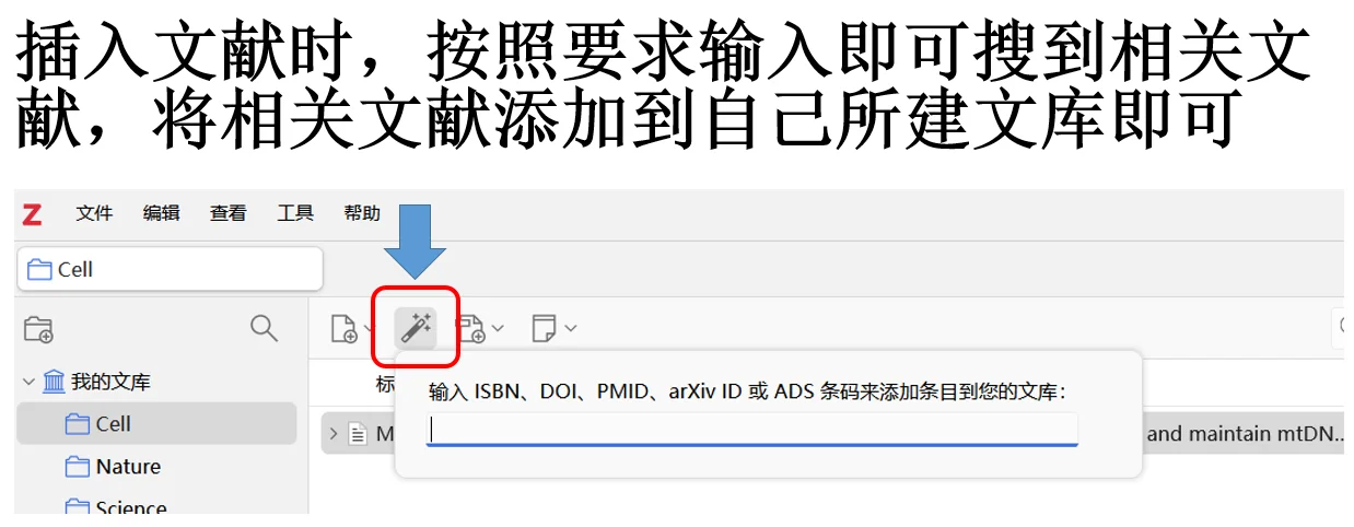 文献插入可以选择ZOTERO这款软件！！！