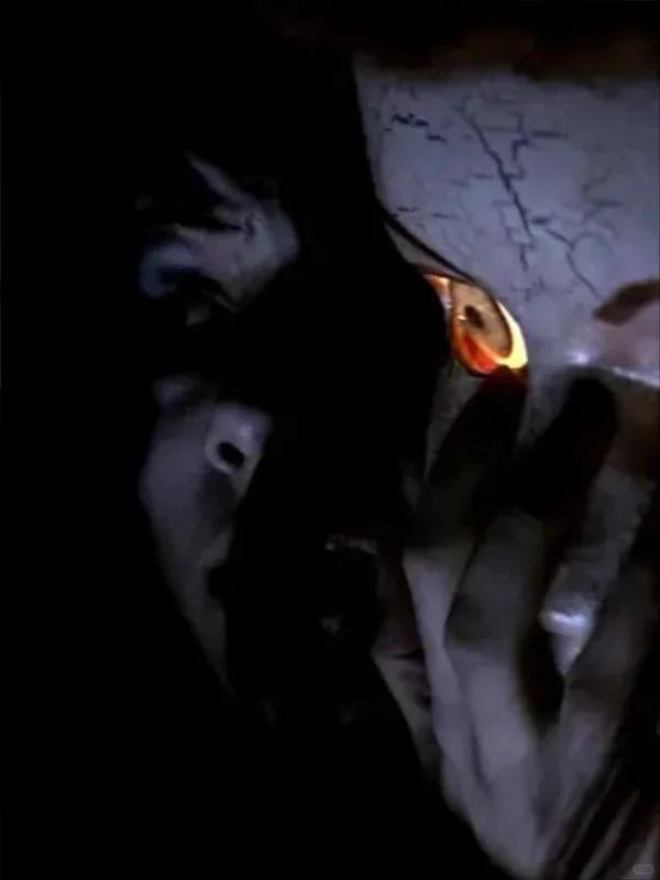 ㊙️一部绝对被低估的恐怖片🩸‼️