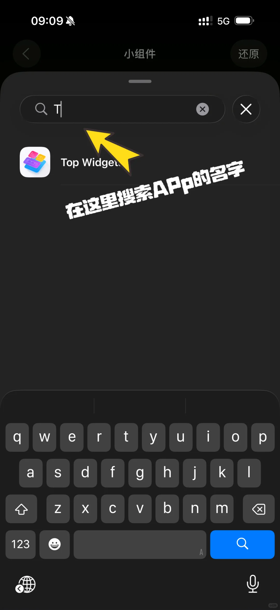 🚗plog｜我的CarPlay被星星人承包了！