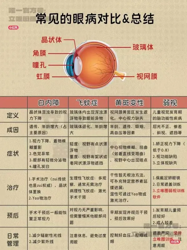 弱视治疗游戏软件