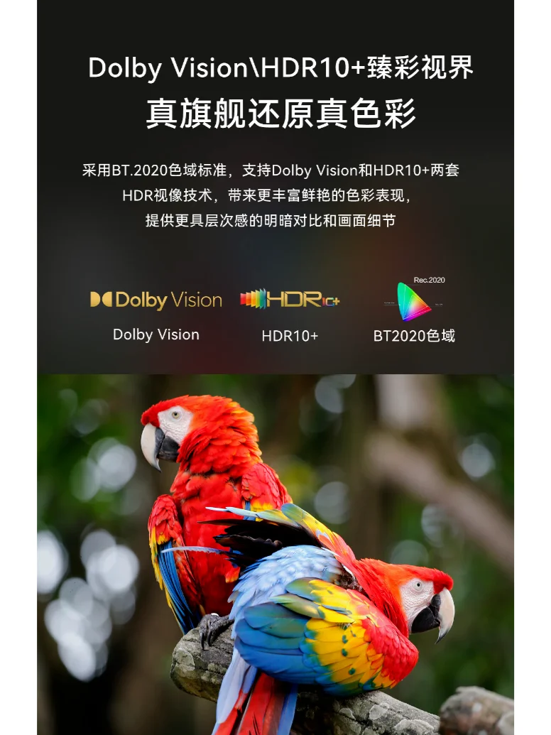 腾讯极光盒子6S | 杜比视界，炫彩画质