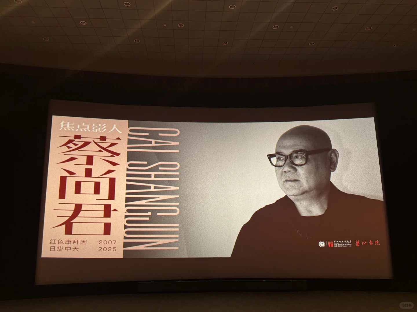 2025.11看什么电影？