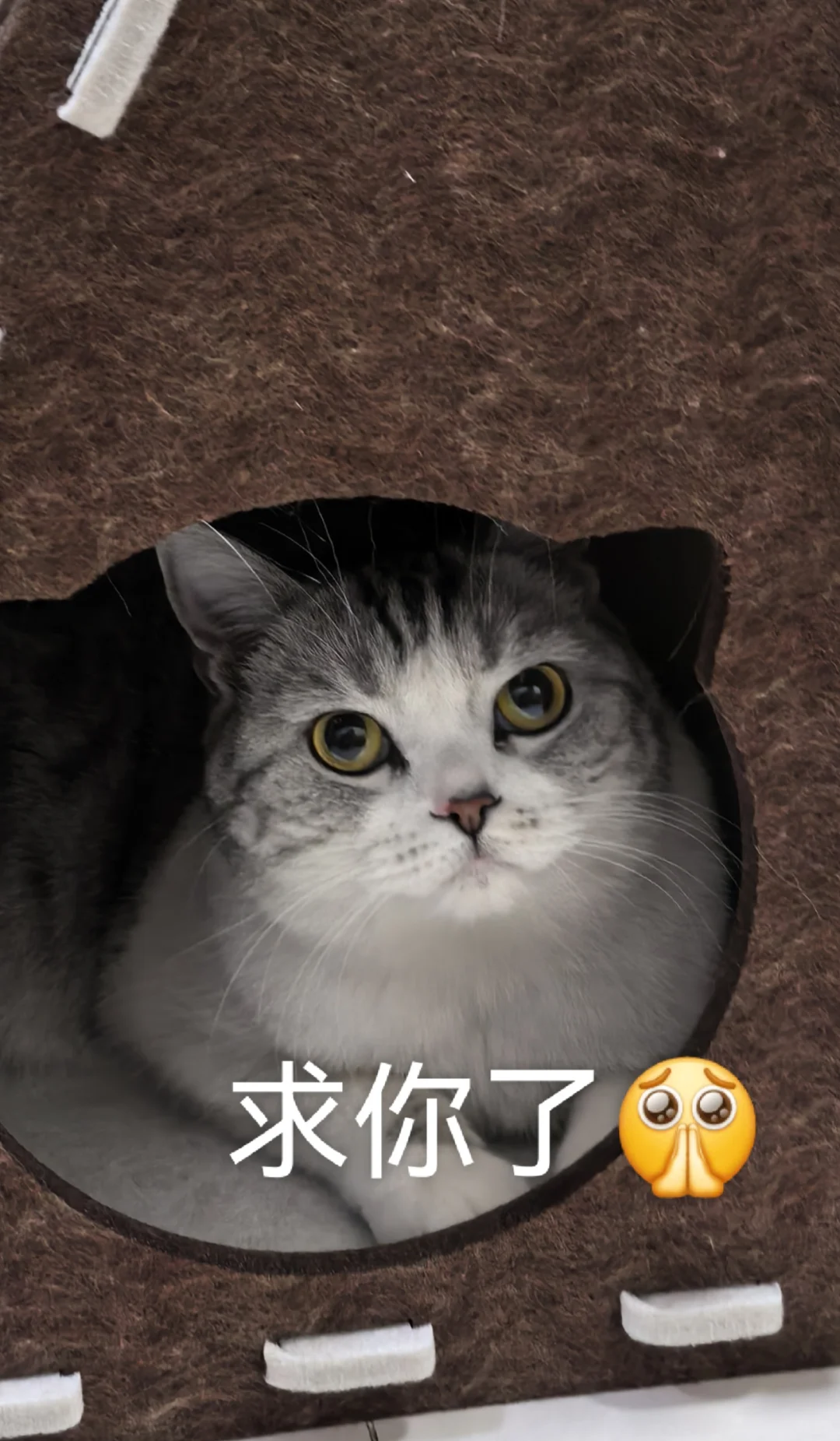 有没有人做个观察自己电量的app