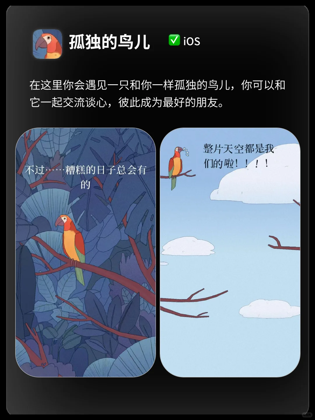 小众但是逆天好用的实用app！
