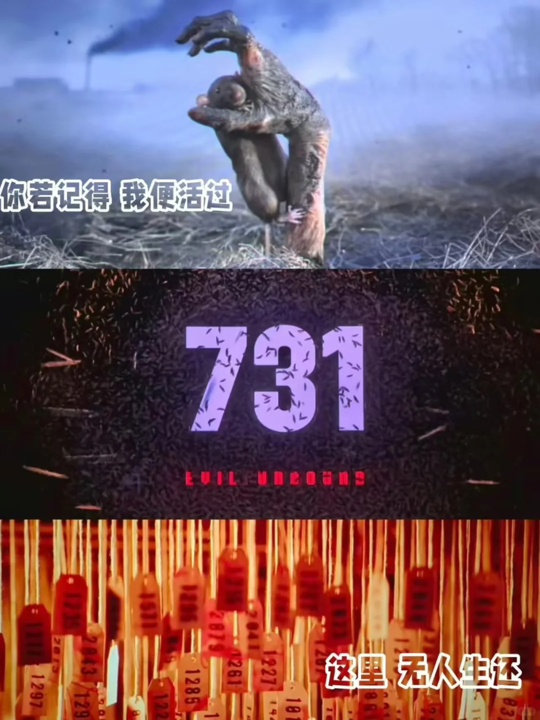 这不是电影的虚构，而是历史的血肉