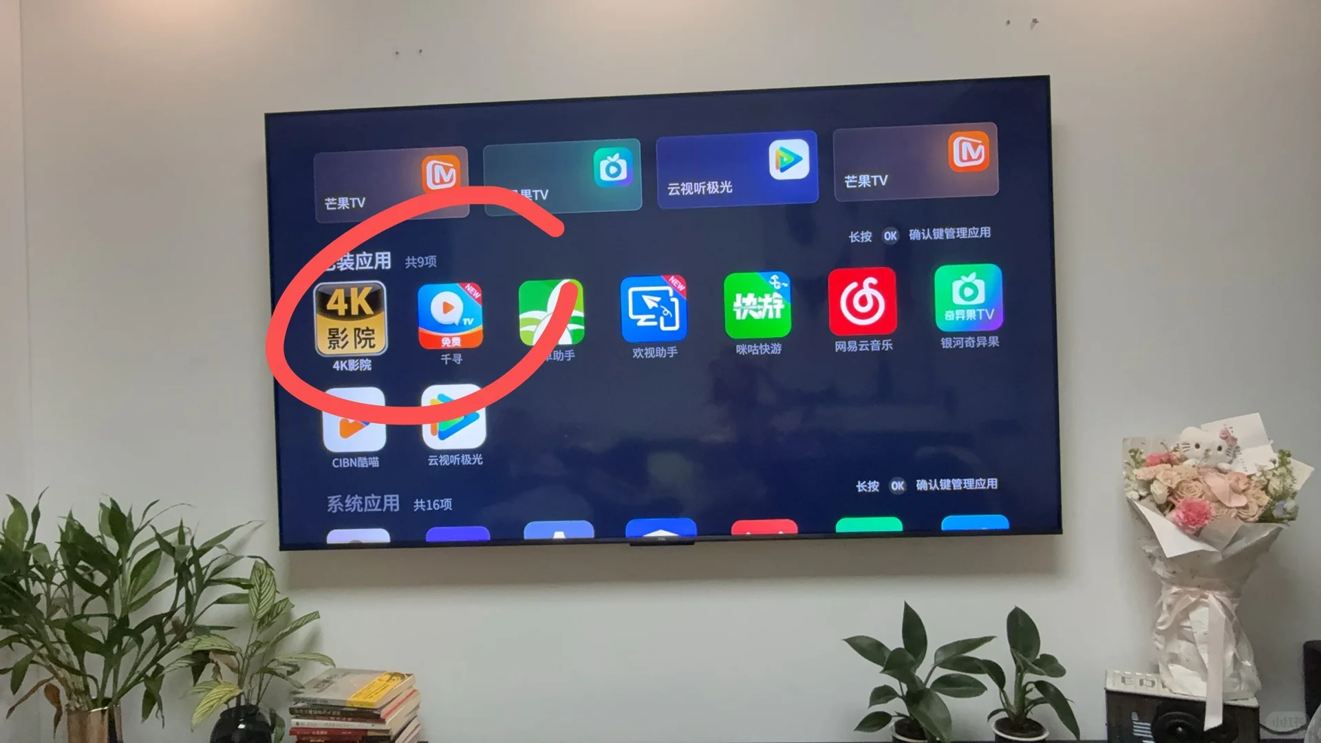 tcl电视保姆级安装免广告app