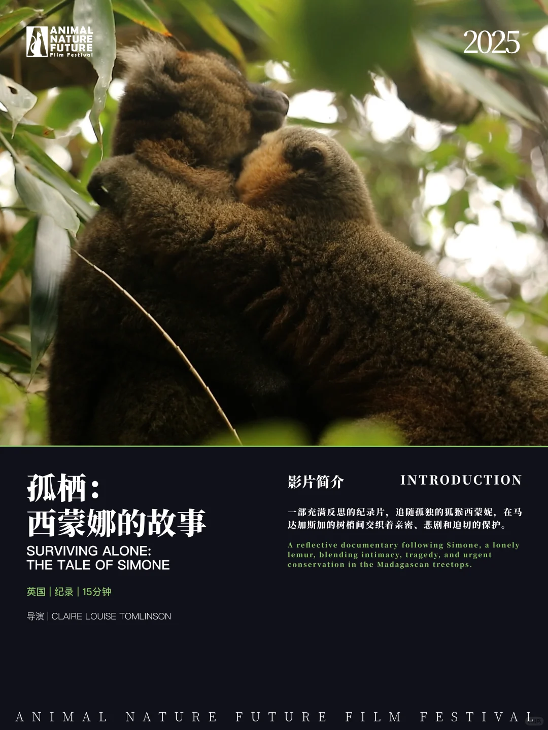 🇬🇧利兹影迷集合！免费电影节展别错过