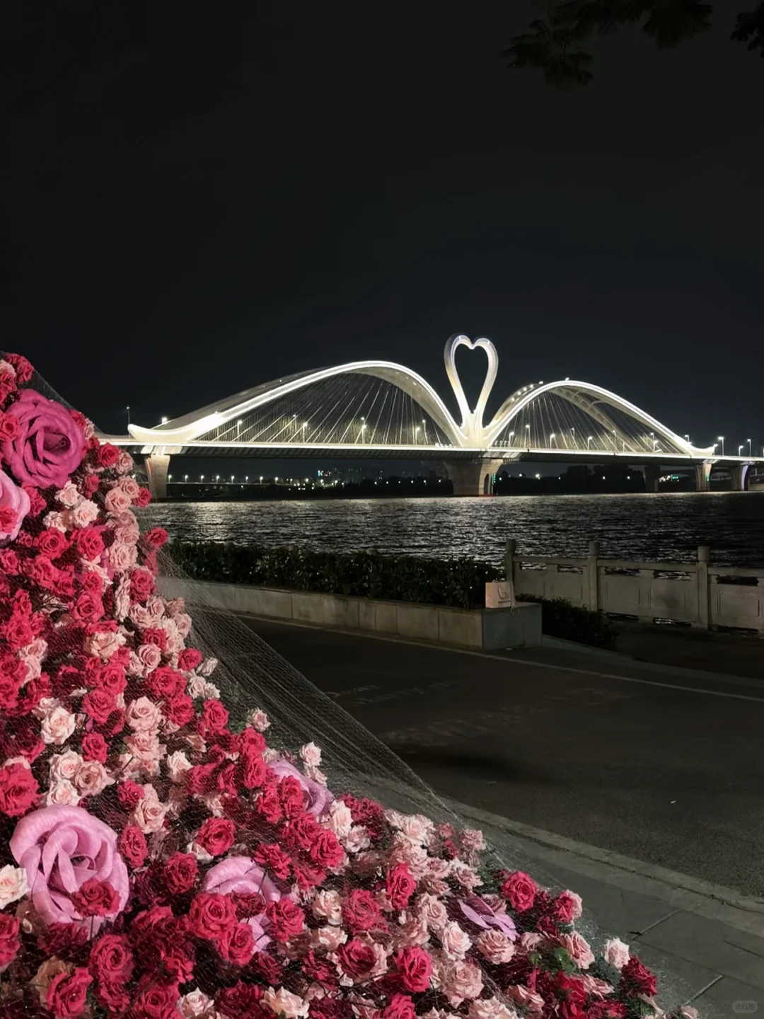 夜景鹅城大桥|“每个人都是电影的主角”