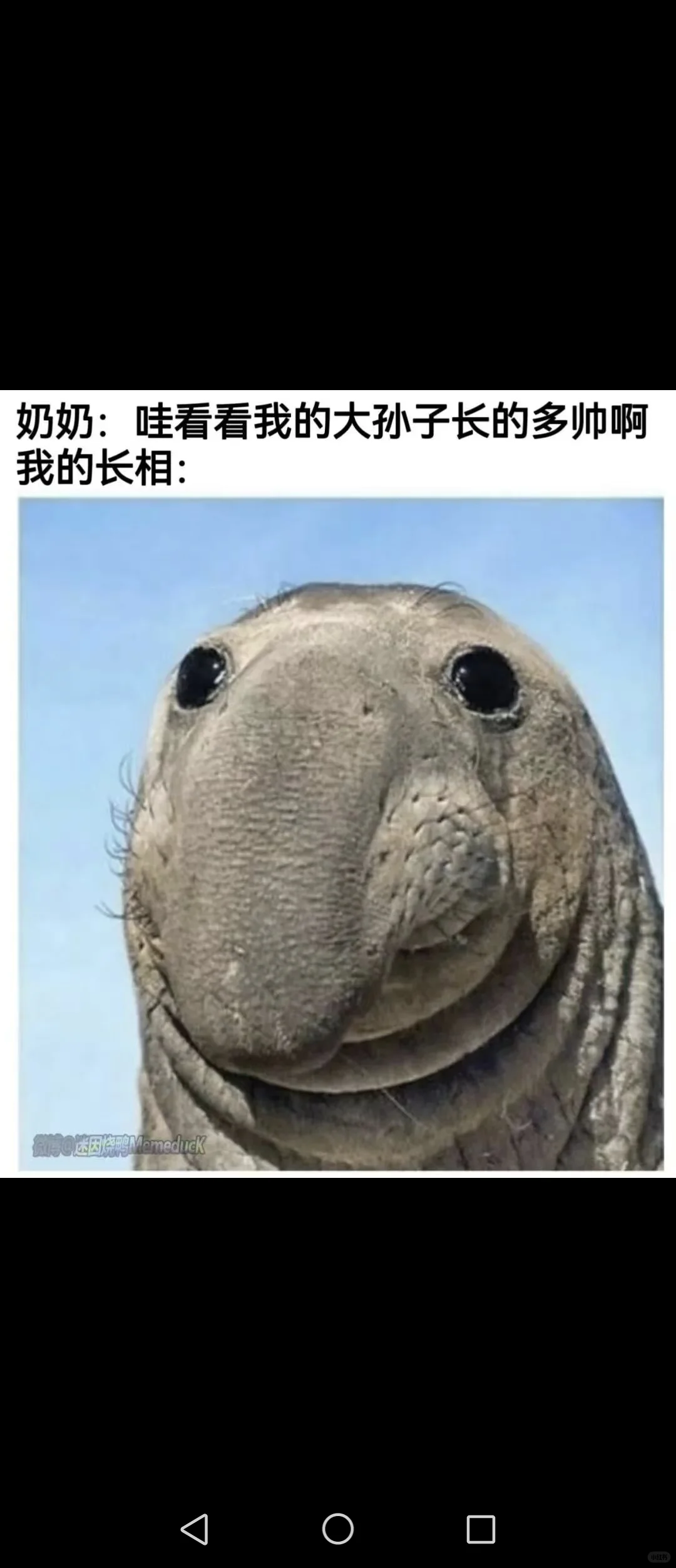 安卓换苹果传数据除了ios互传也能用别的