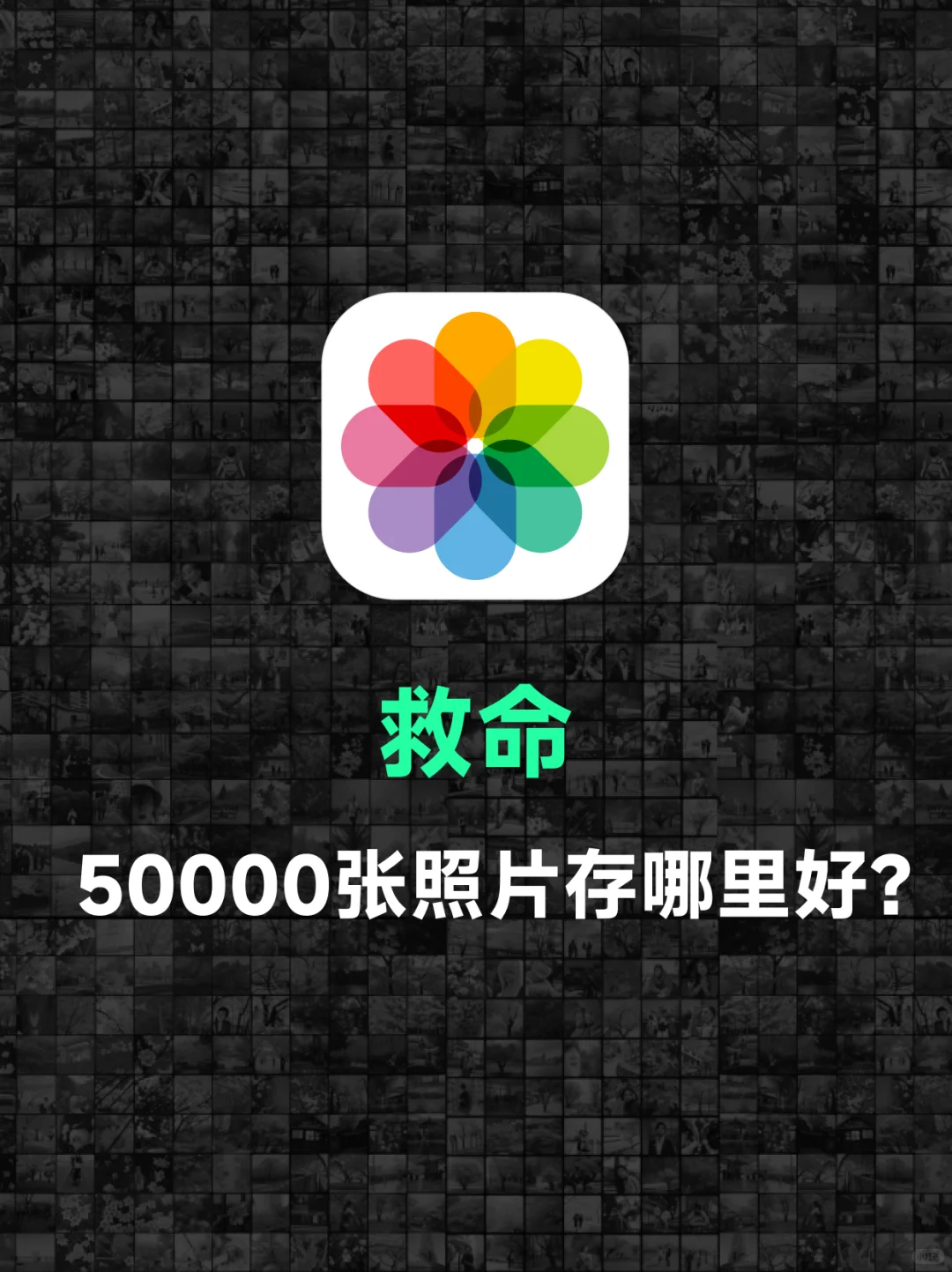 救命，50000张照片存哪里好？