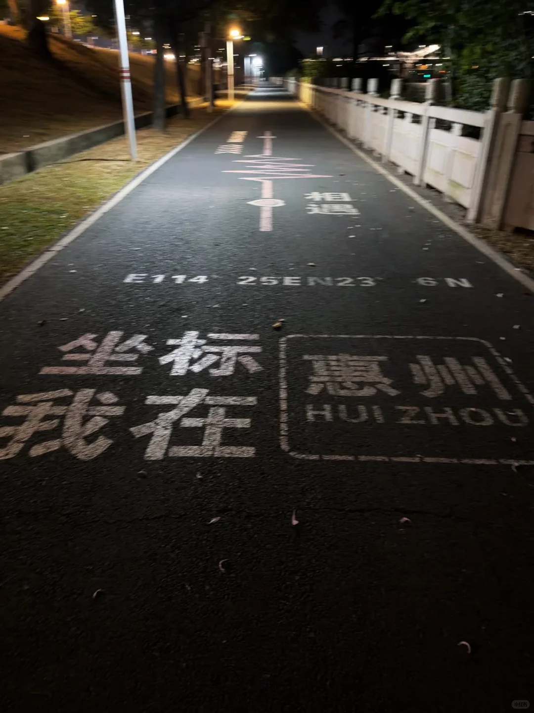 夜景鹅城大桥|“每个人都是电影的主角”
