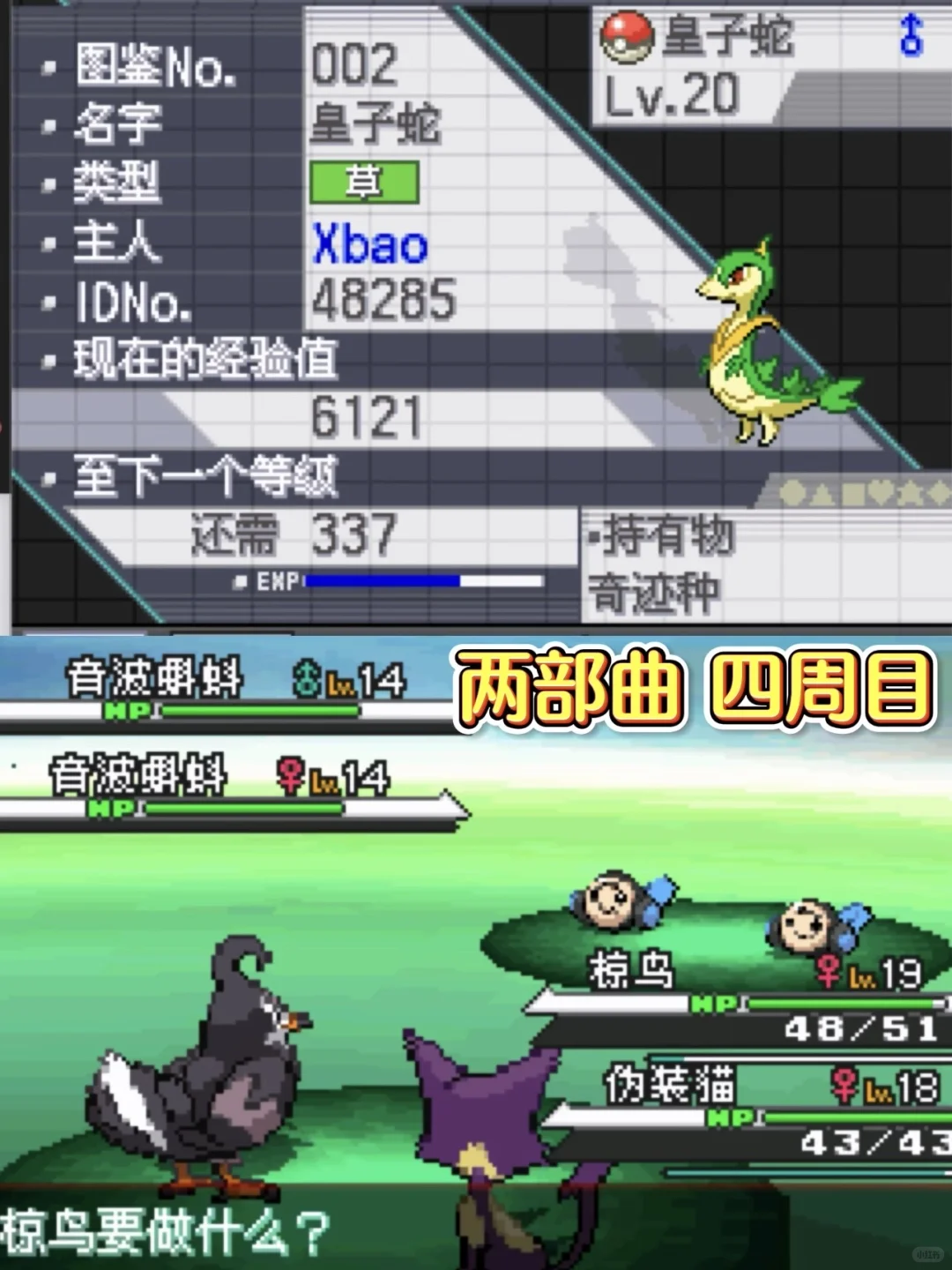 手机竟也能玩宝可梦游戏？神作500款