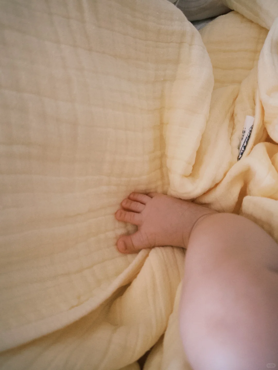 Dazz 是拍婴儿的神级app