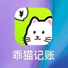 被夸爆的记账app