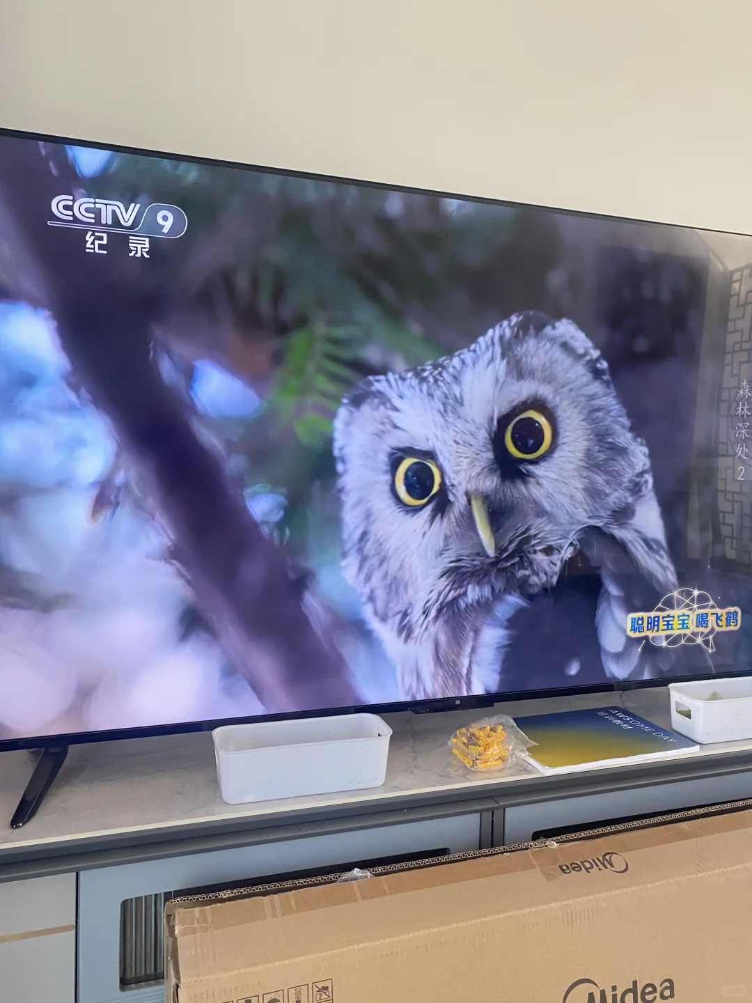 简单在家看电视智能电视带给我