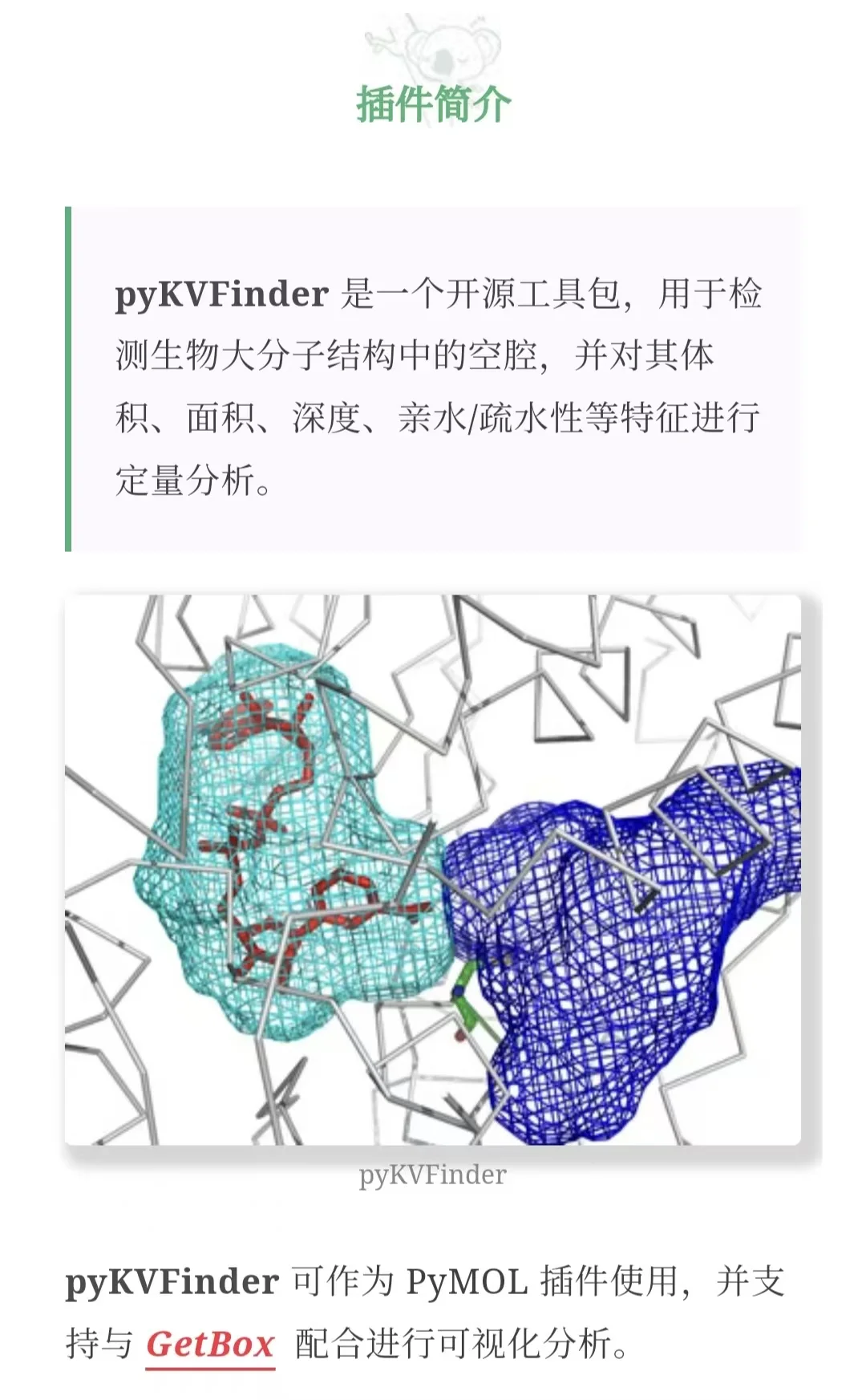 PyMOL插件教程 | 使用pyKVFinder找结合位点