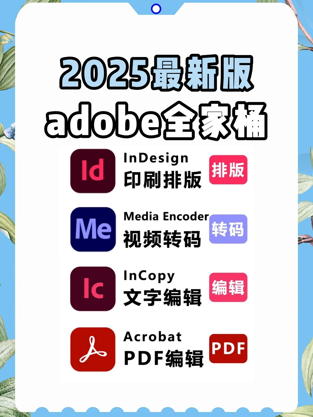 【Adobe全家桶2025】宝藏设计师软件！