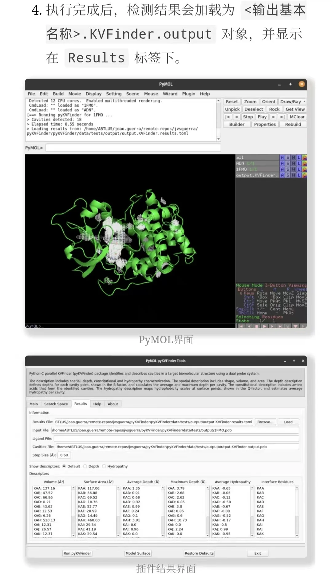 PyMOL插件教程 | 使用pyKVFinder找结合位点