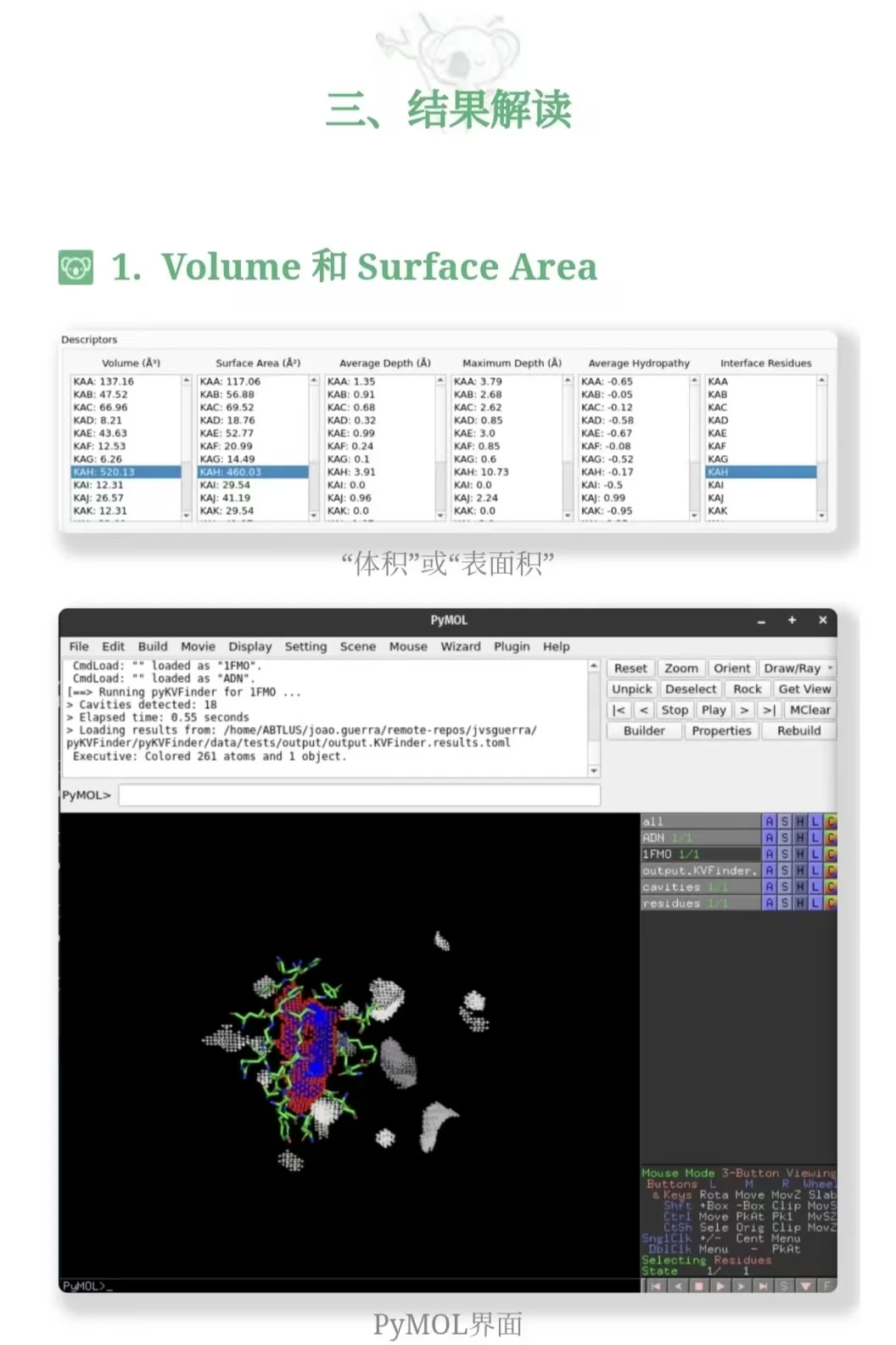 PyMOL插件教程 | 使用pyKVFinder找结合位点