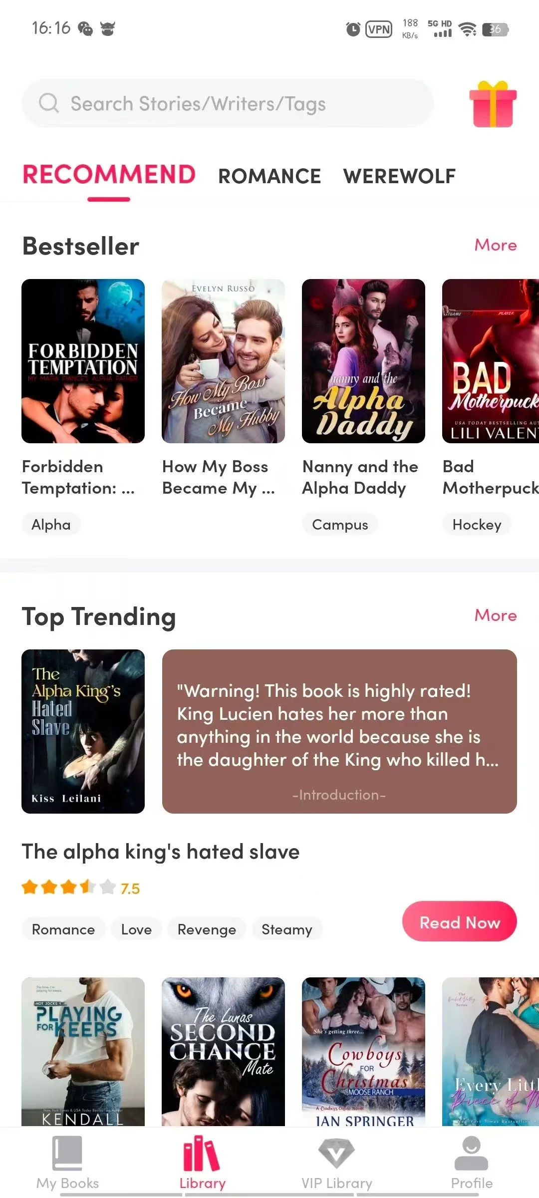 海外小说系统定制开发 源码交付