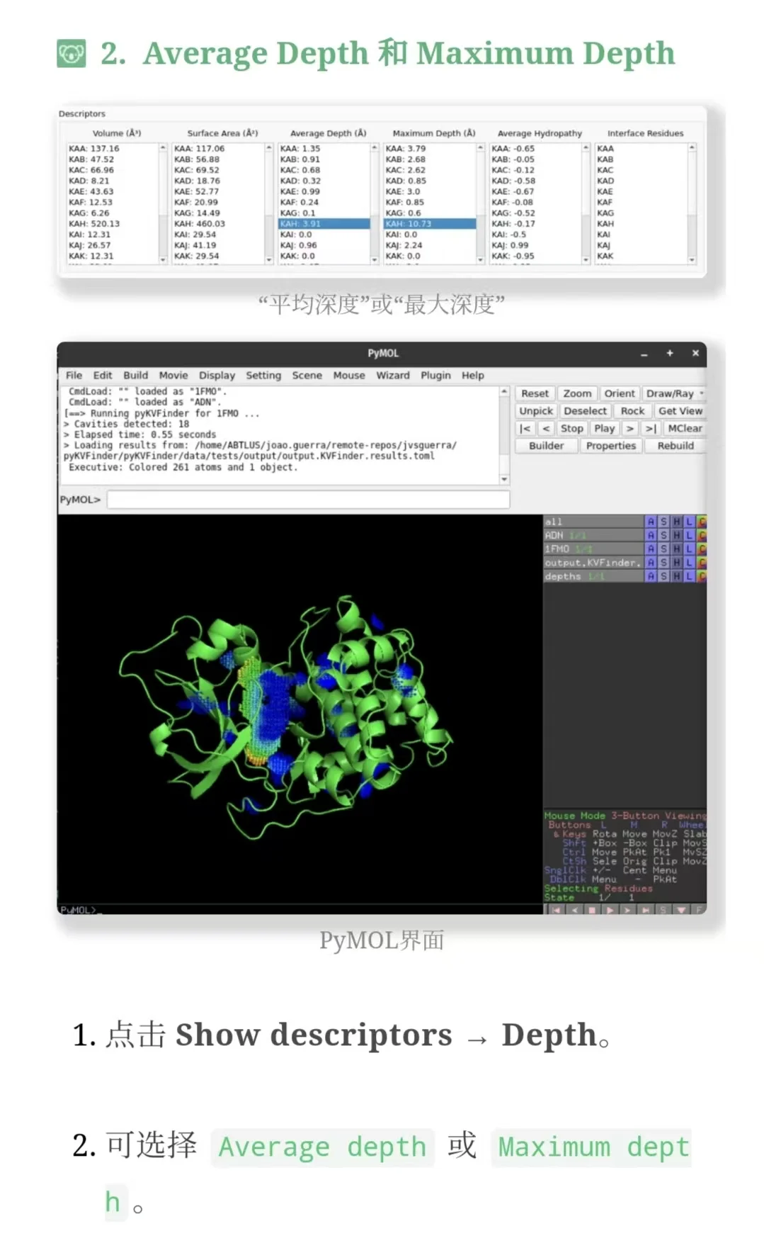 PyMOL插件教程 | 使用pyKVFinder找结合位点