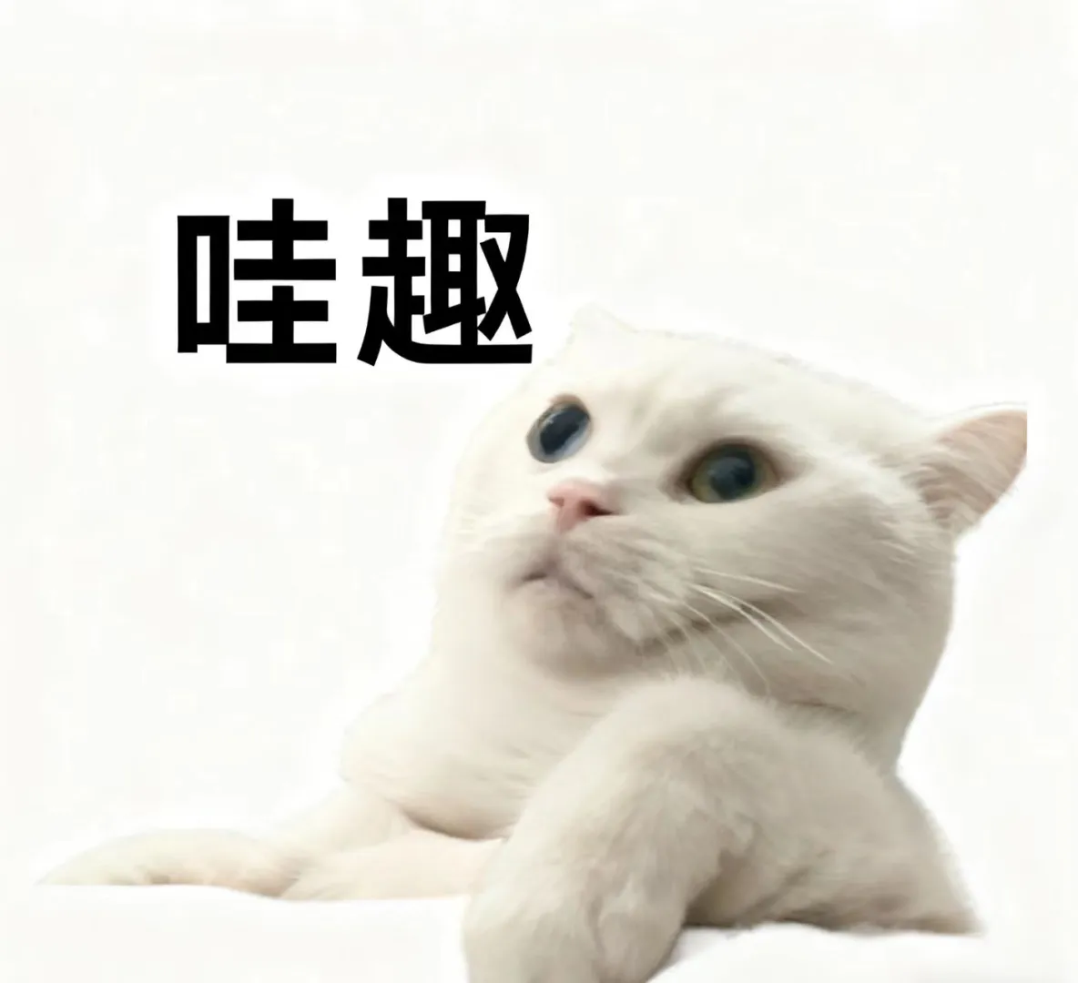 突然发现一些讲剪辑很顶的博主