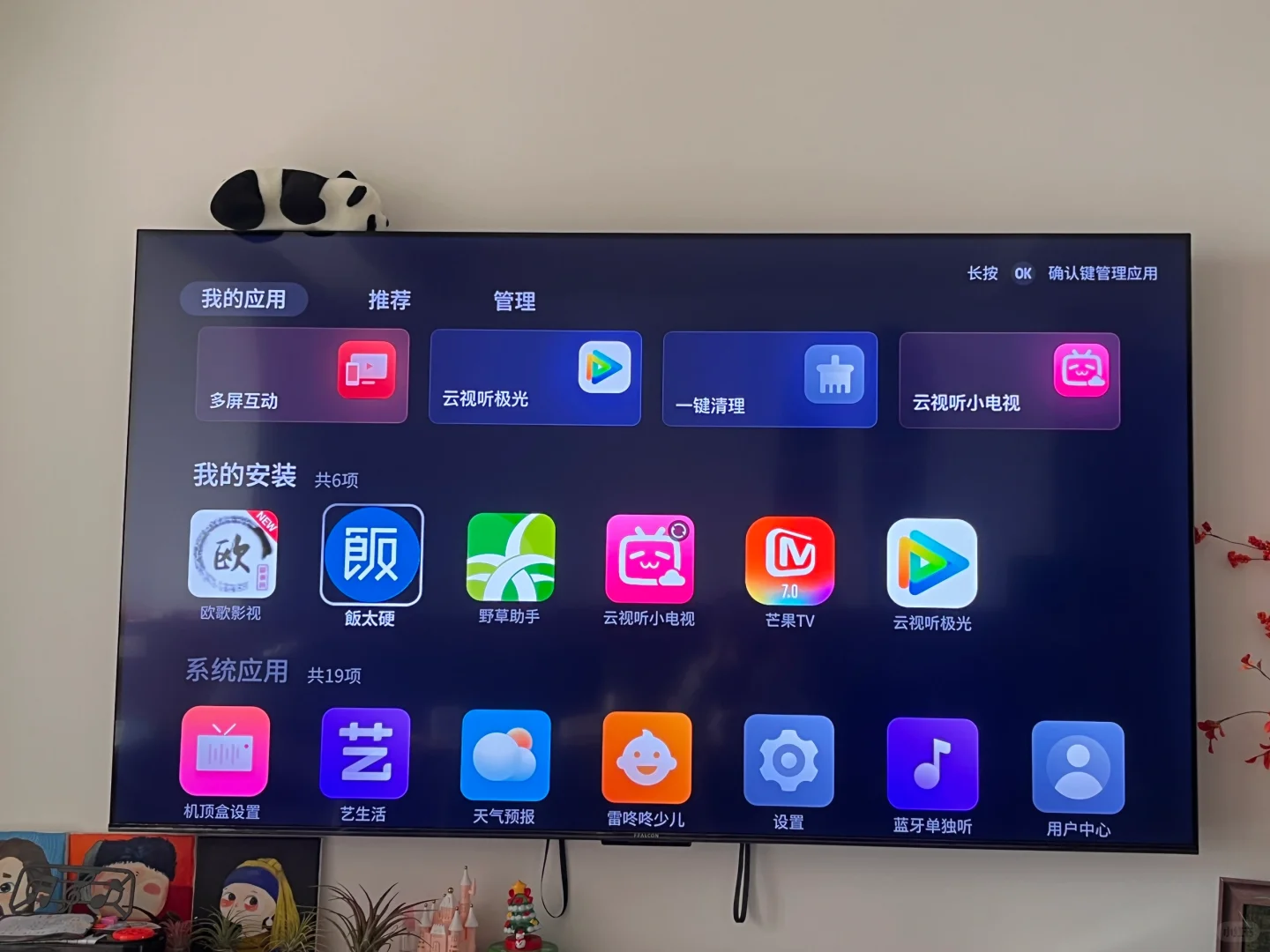 TCL雷鸟第三方看剧app