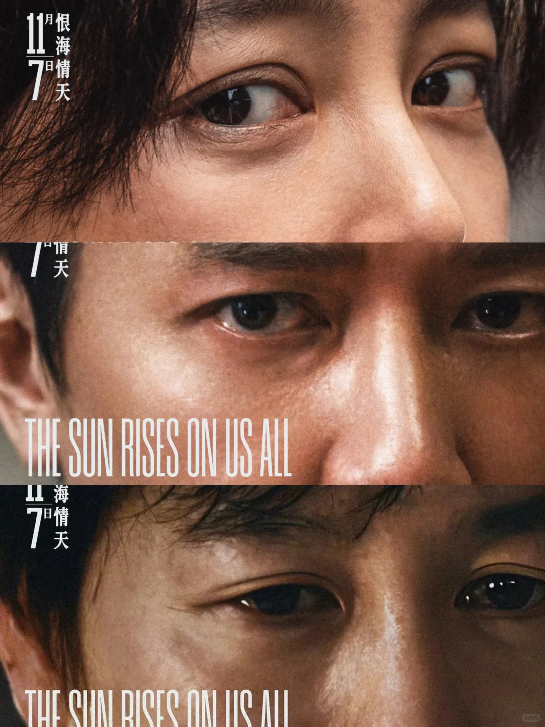 威尼斯影后也救不了票房❓