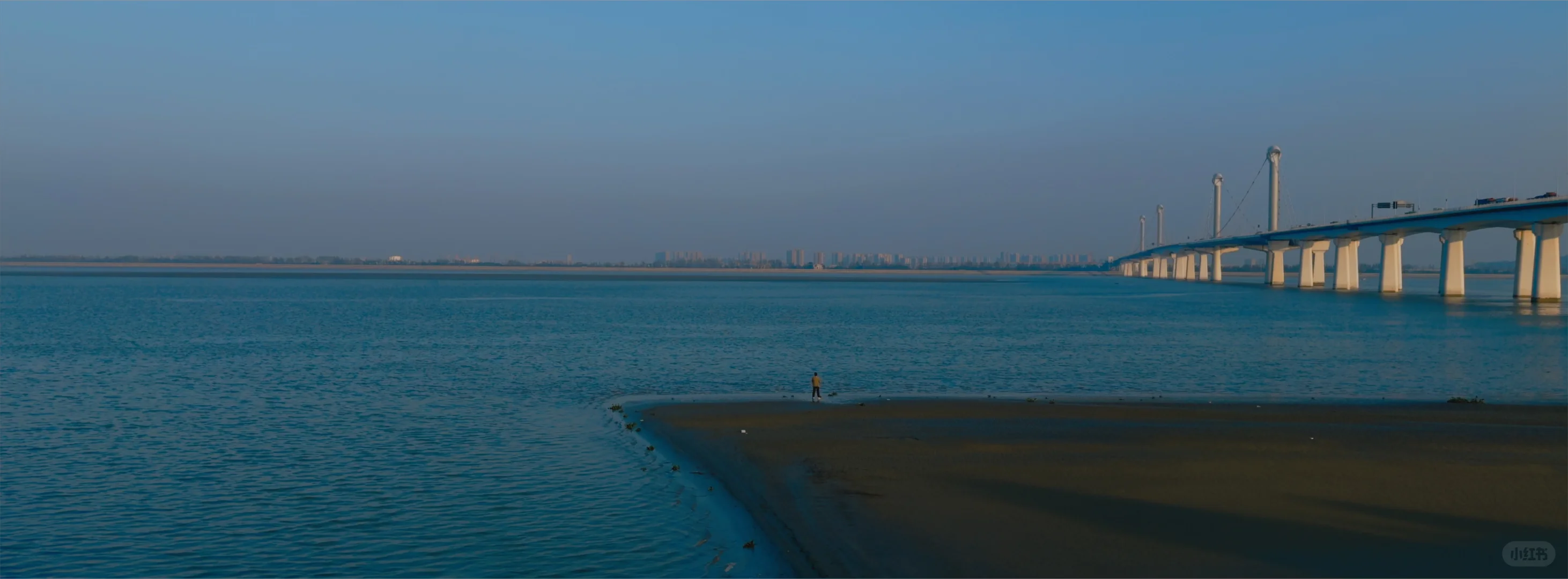 iPhone的理光GR负片