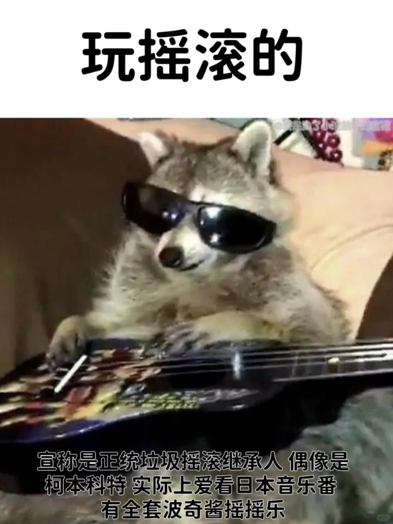 🎶 音乐小白的宝藏发现