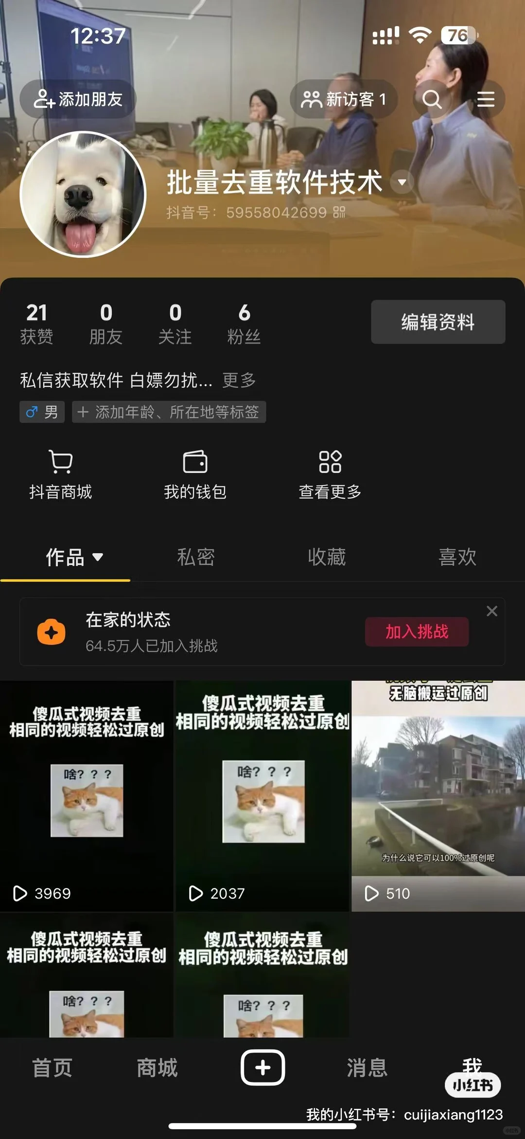 AI全自动批量剪辑电脑混剪软件短视频处理