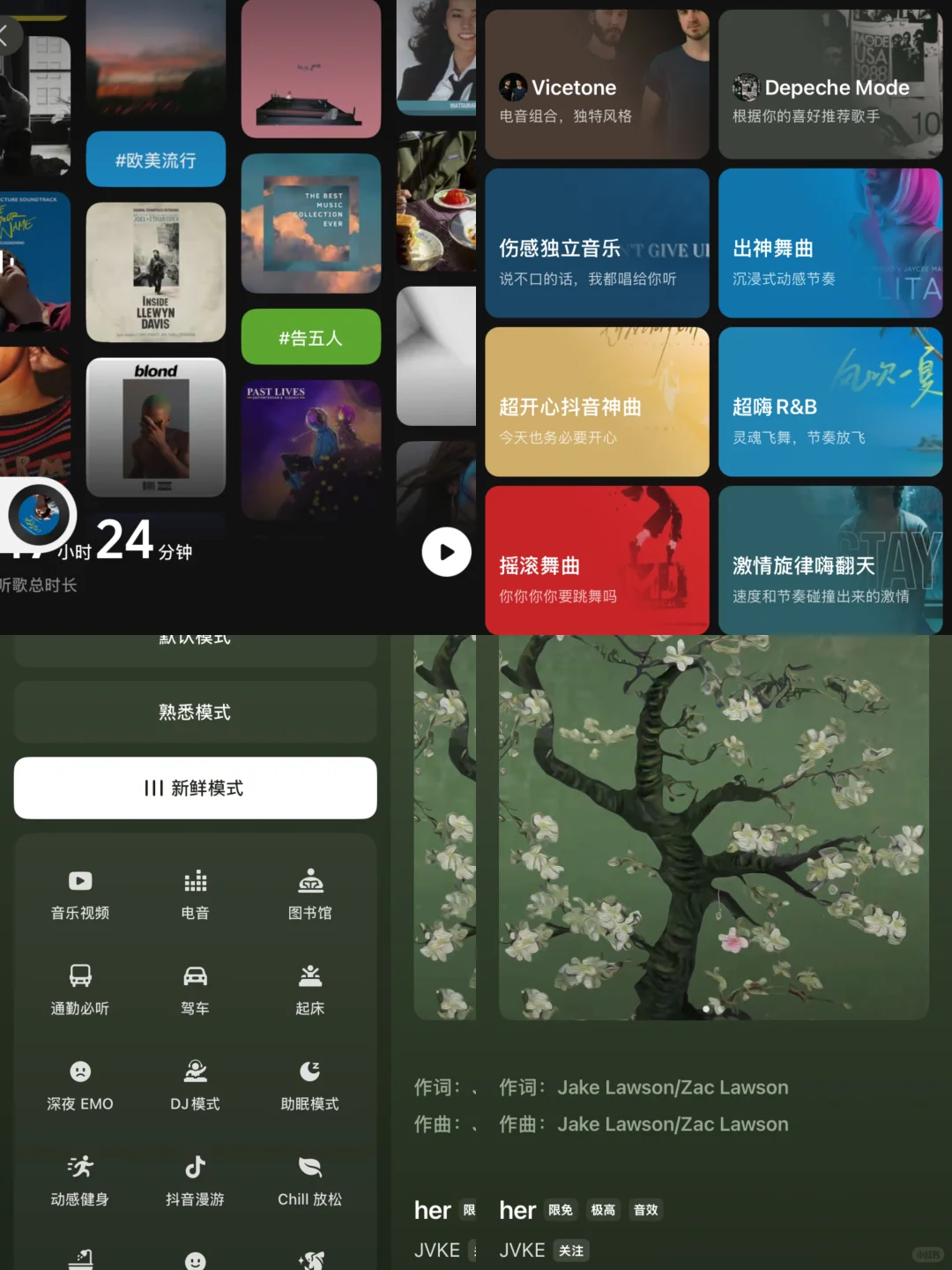 🎶 音乐小白的宝藏发现