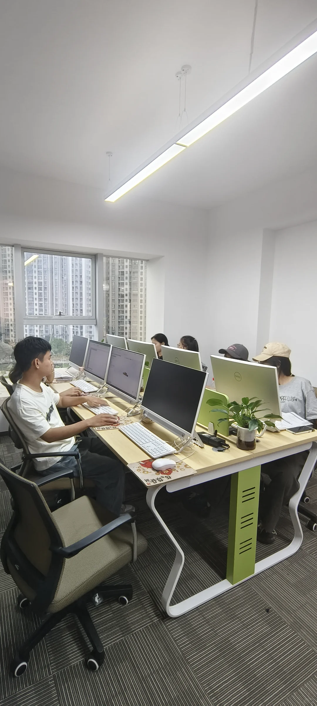 东莞虎门橡果教育电脑办公文秘培训班主要学