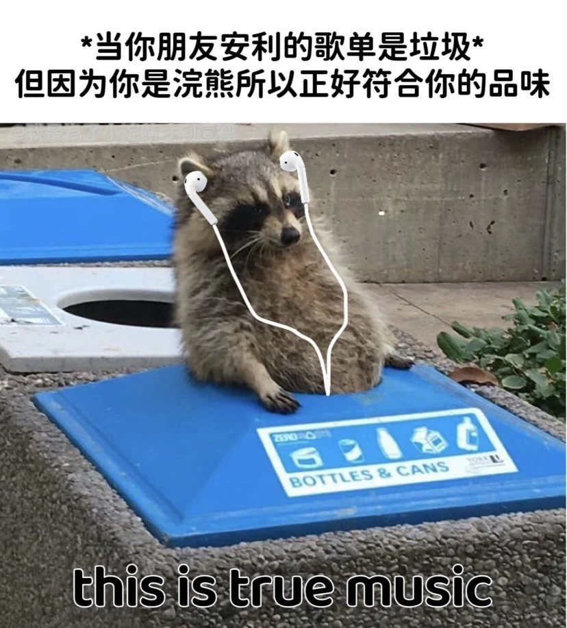 🎶 听歌体验也太舒适了吧