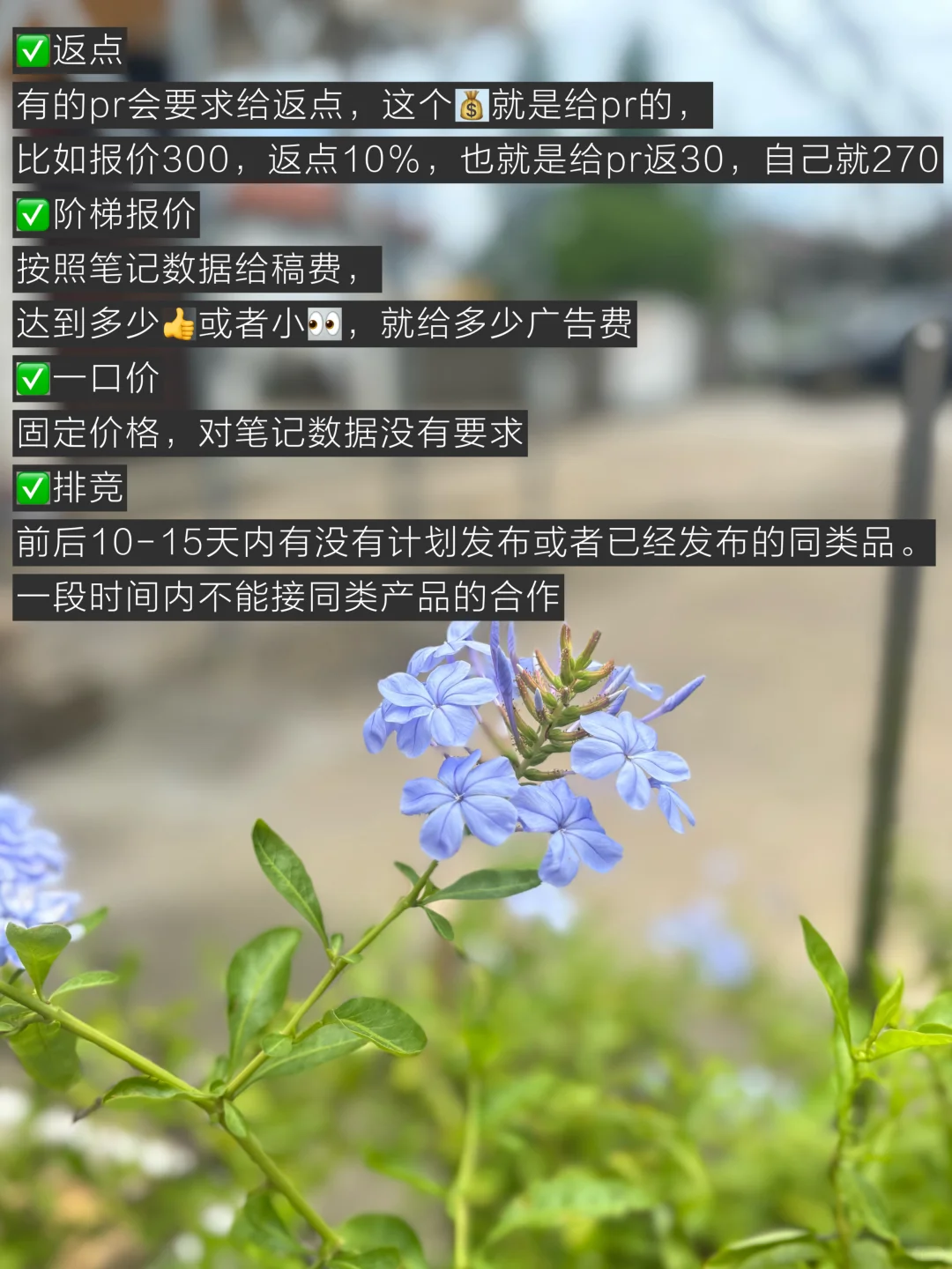 新人接广必看！这些暗语能帮你多赚一半💰