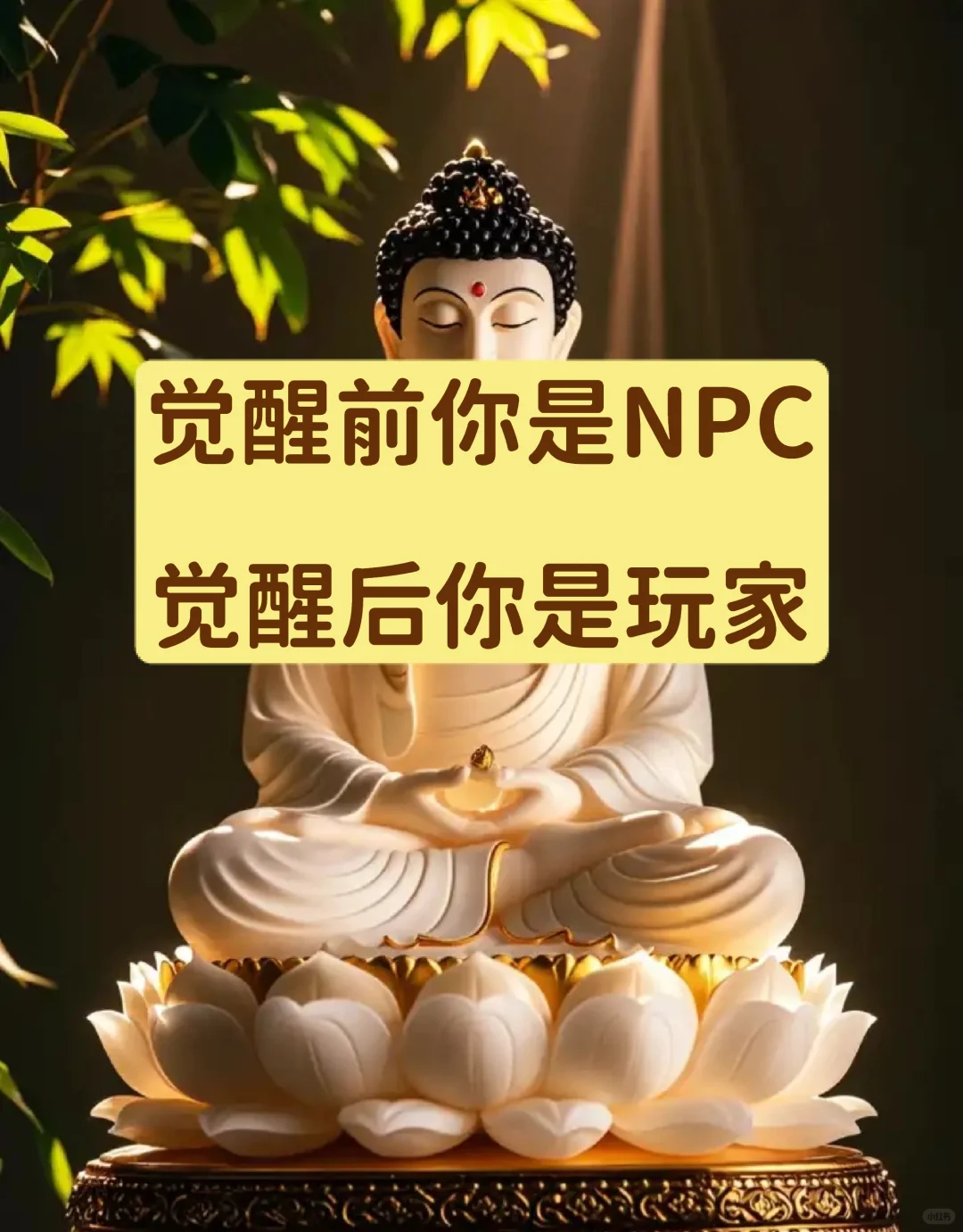你是来体验游戏的