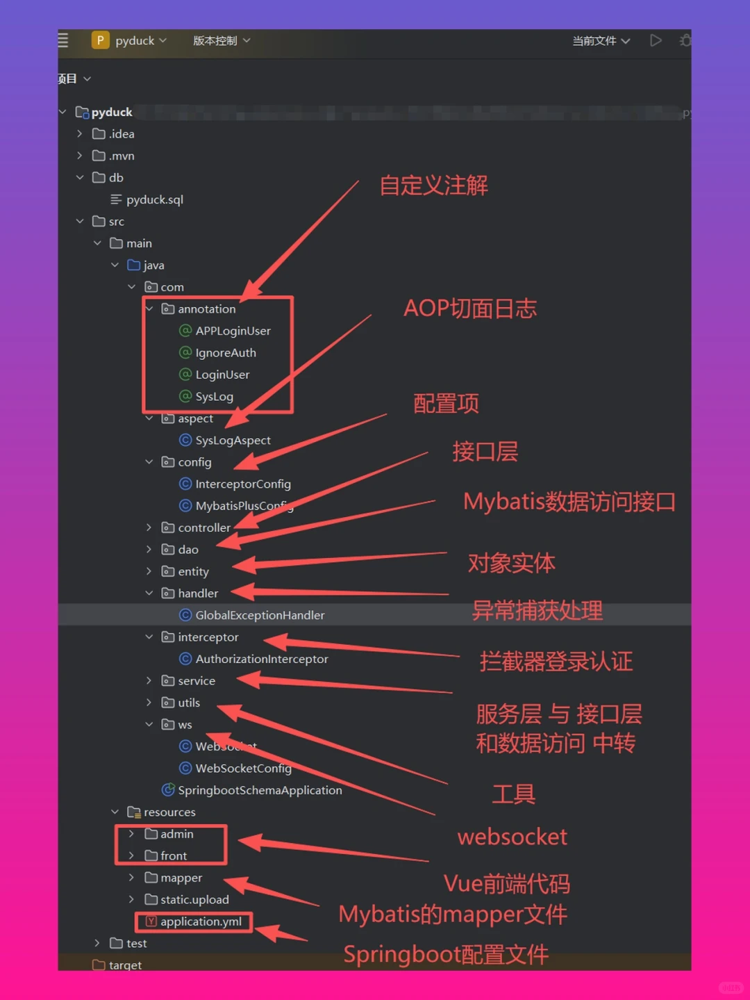 常见SpringBoot成品源码毕设结构
